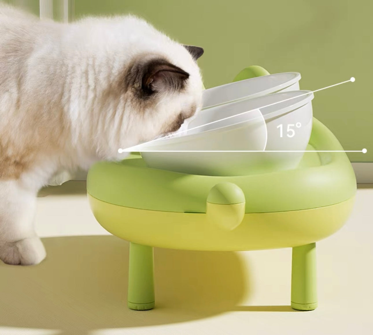 Dual Pet Bowl with Collapsible Stand