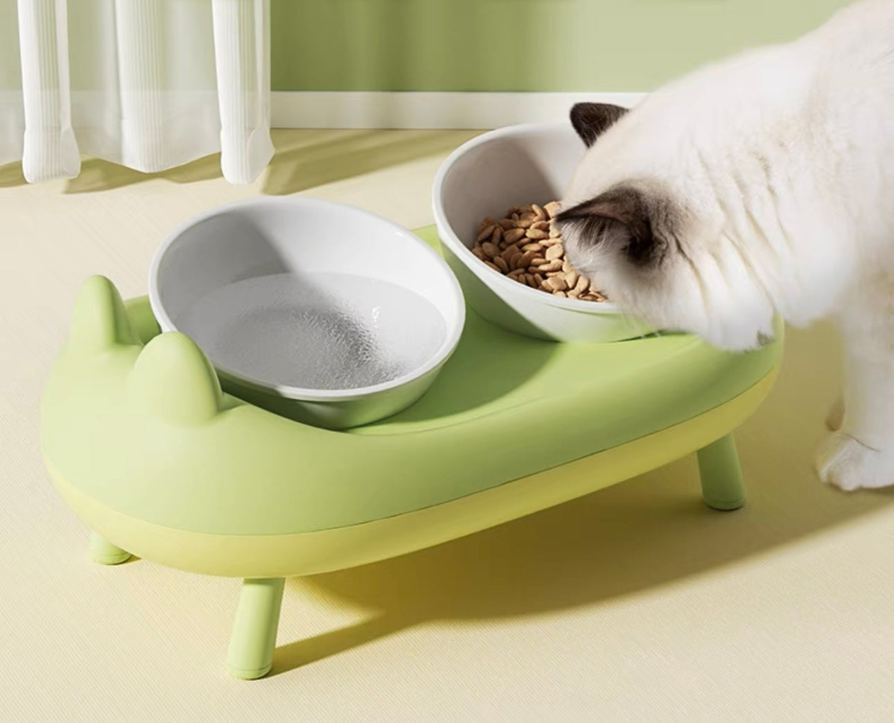 Dual Pet Bowl with Collapsible Stand