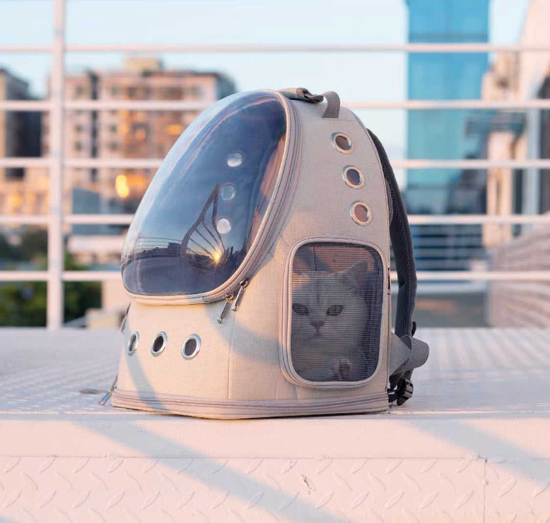 Space Capsule Backpack