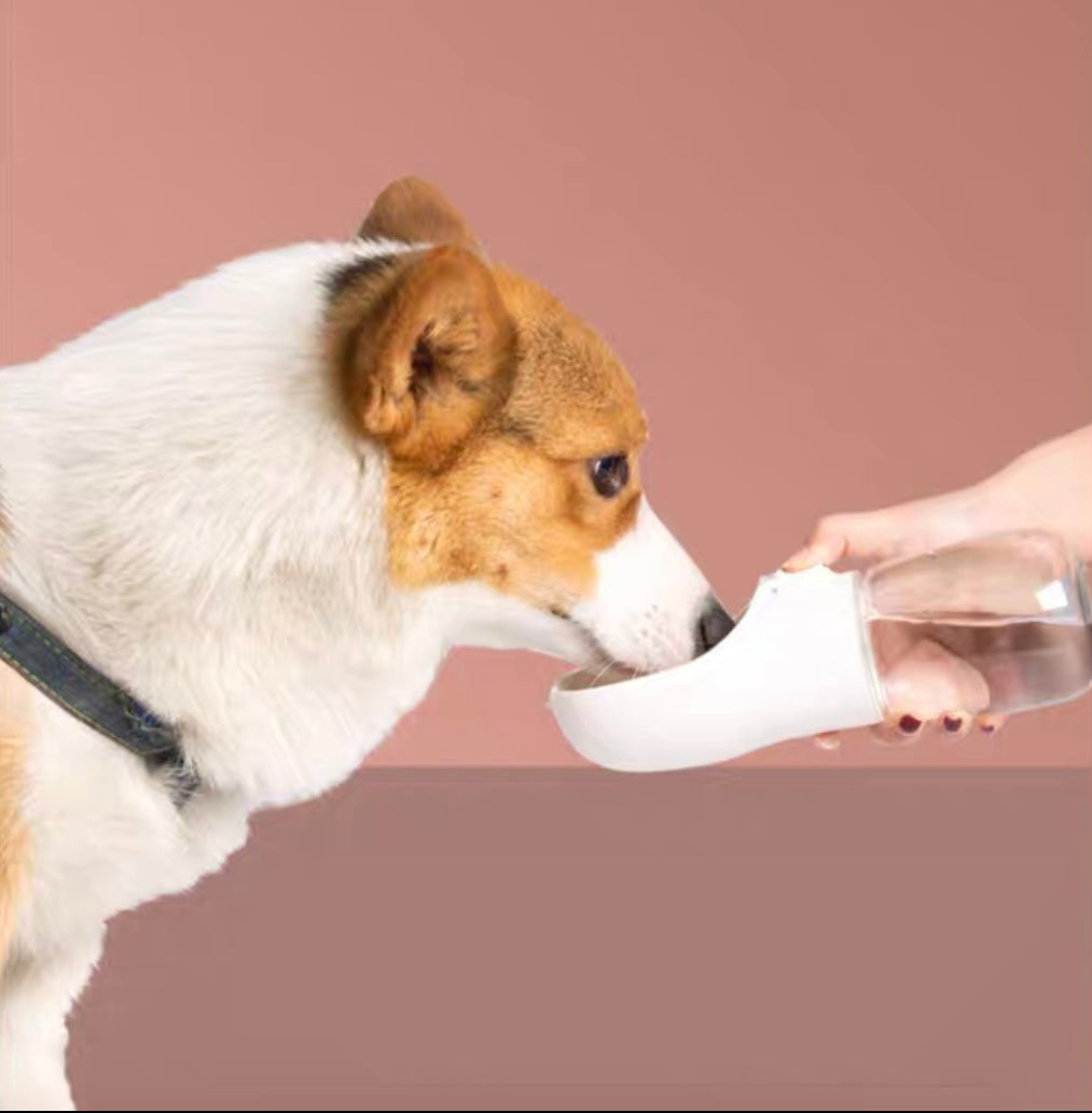 Portable Water Bottle