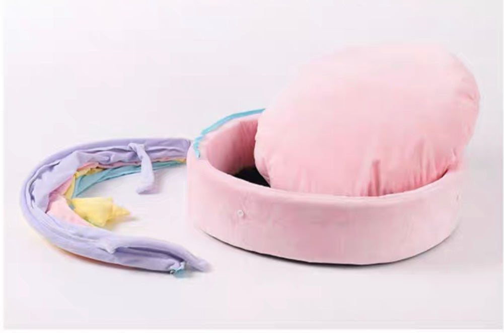 Rainbow Pet Bed