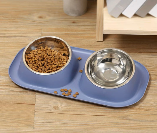 Stainless Steel Dual Pet Bowl