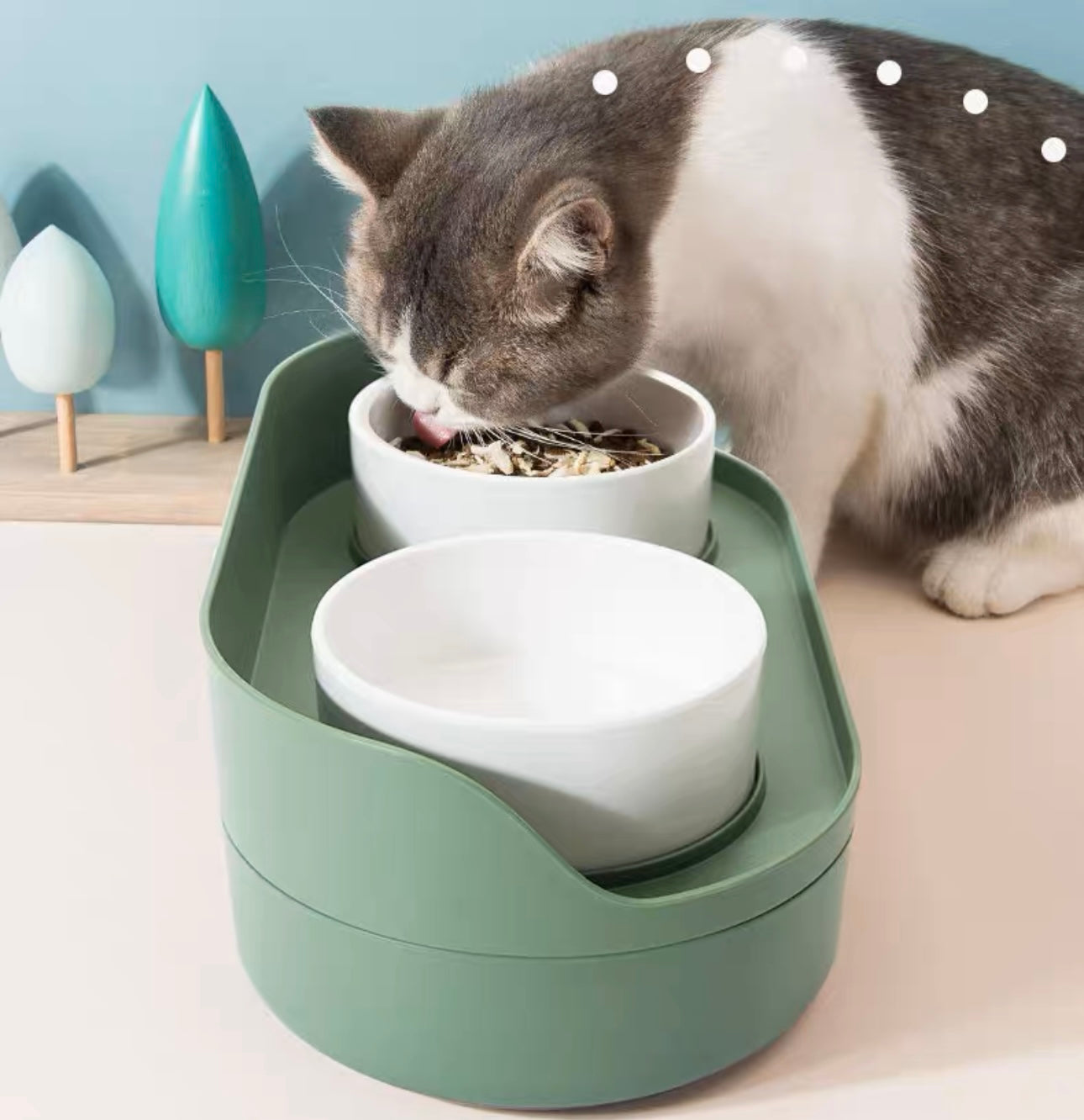 Dual Pet Bowl With Storage Base