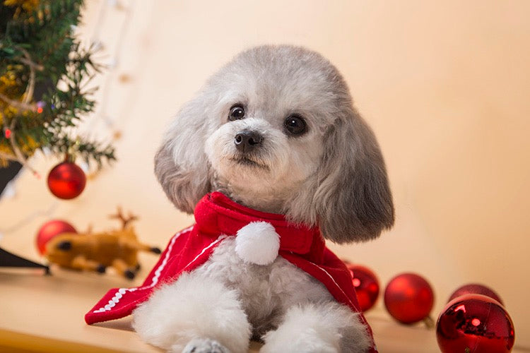 Christmas Santa Red Cape