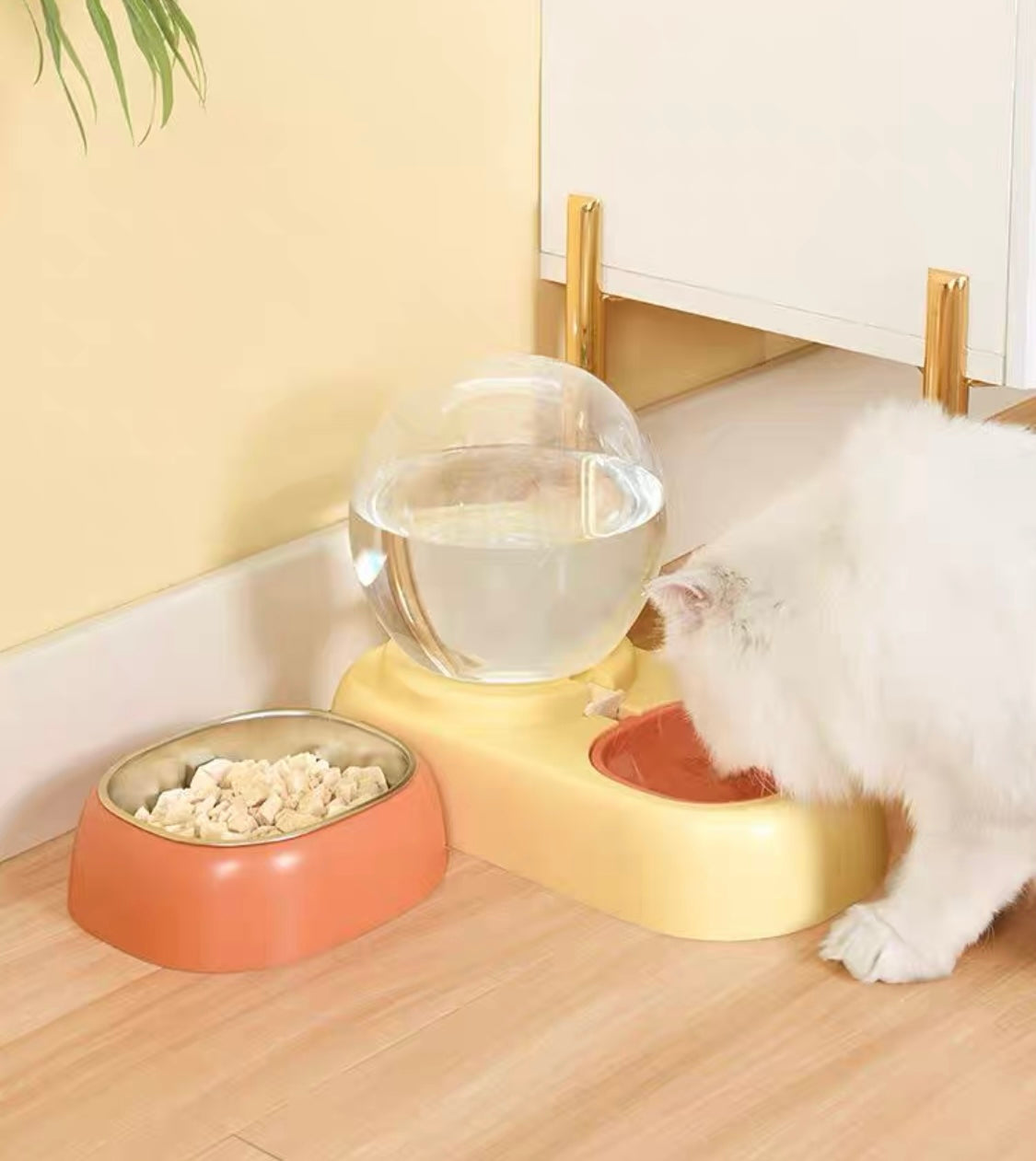 Crystal Ball Dual Pet Bowl