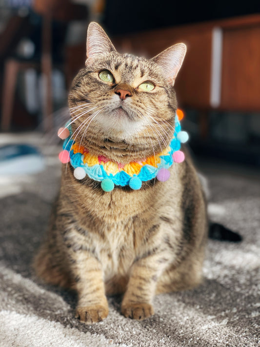 Rainbow Pom Pom Collar