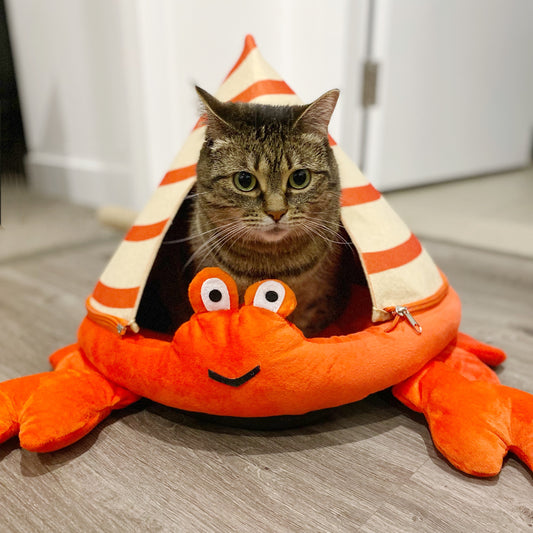 Hermit Crab Pet Bed