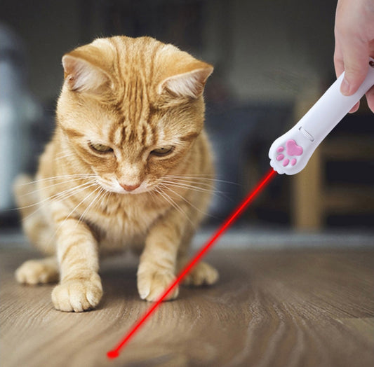 Laser Cat Toy