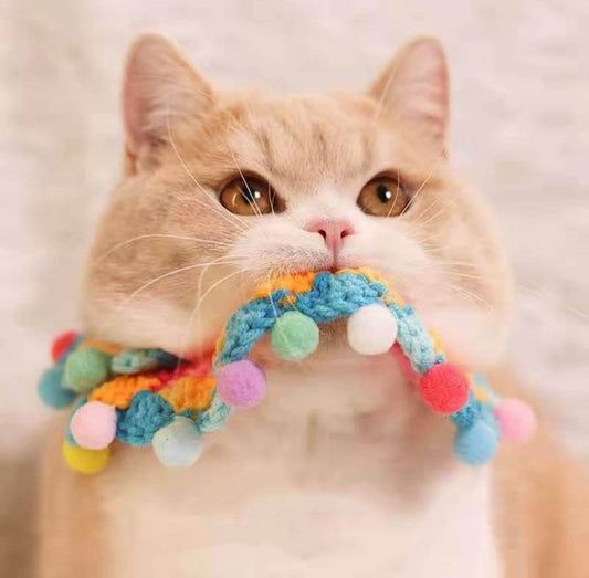 Rainbow Pom Pom Collar