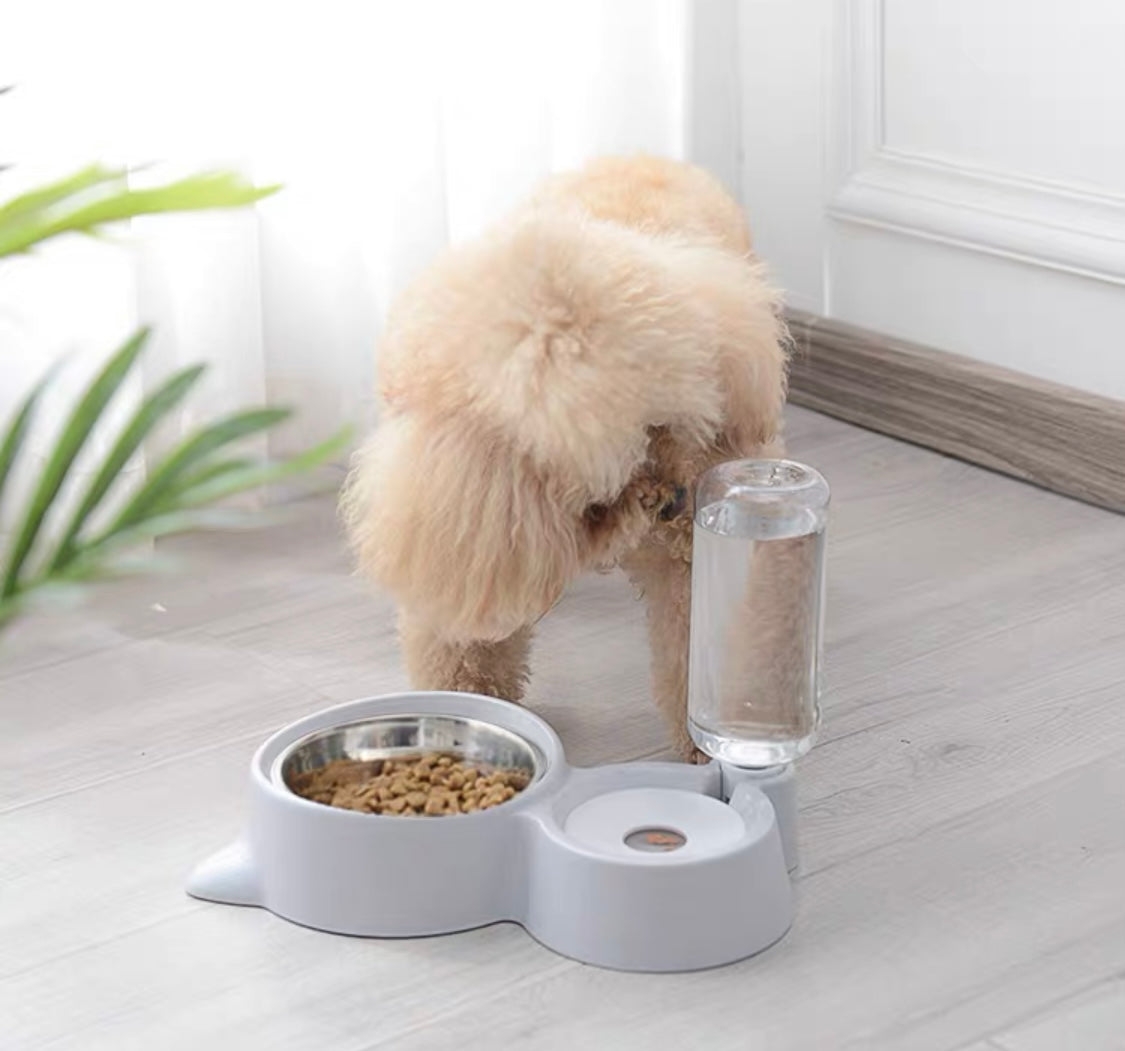 Pet 2 in 1 Food & Water Feeder