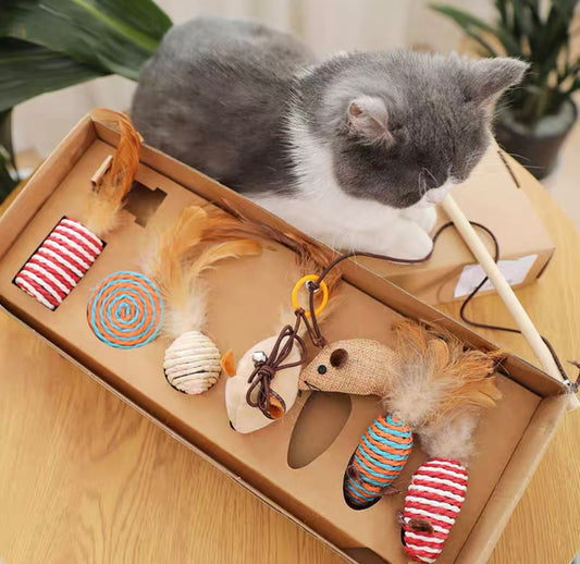 Cat Teaser & Toy 7 Pieces Set