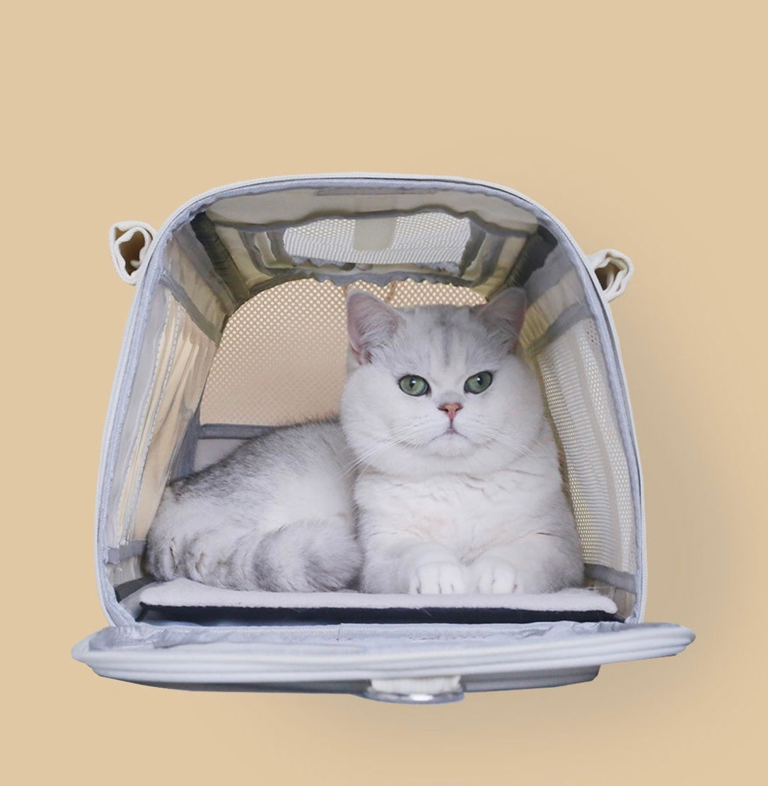 Pet Carrier Travel Bag