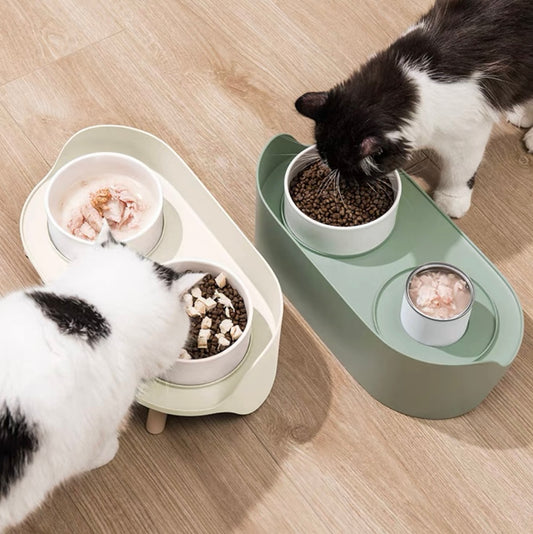 Ceramic Dual Pet Bowl