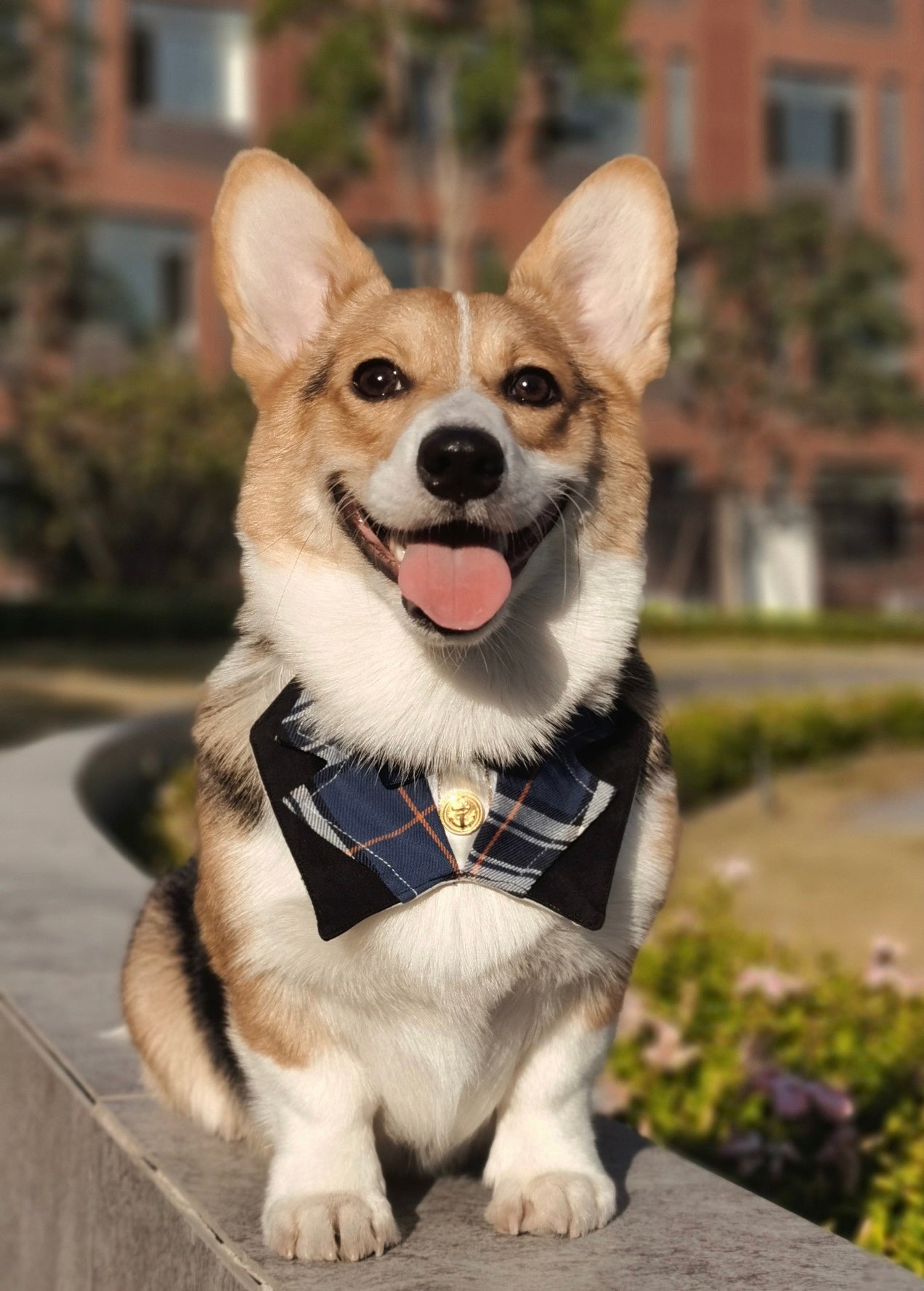 Tuxedo Adjustable Bandana