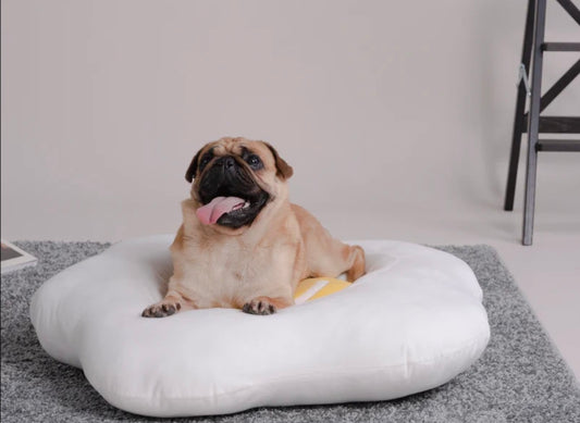 Purlab Fried Egg Pet Bed