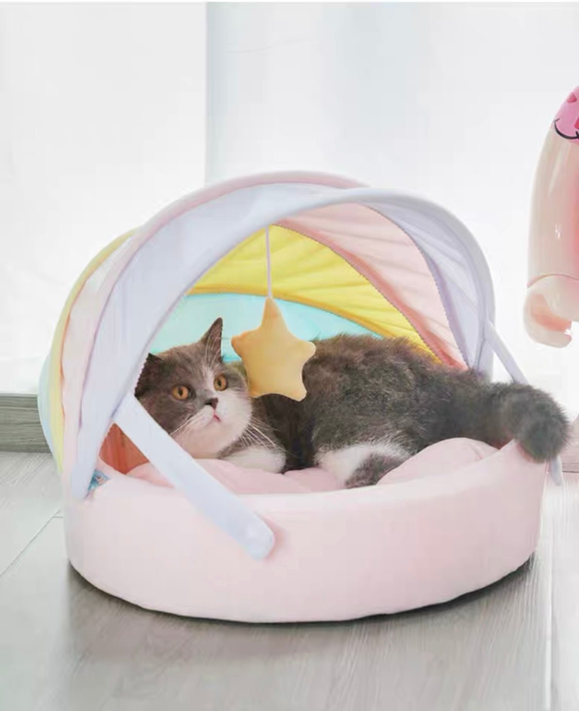 Rainbow Pet Bed