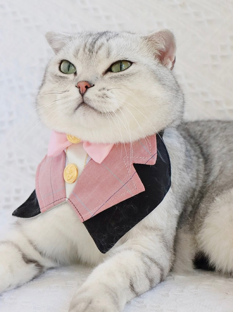 Tuxedo Adjustable Bandana