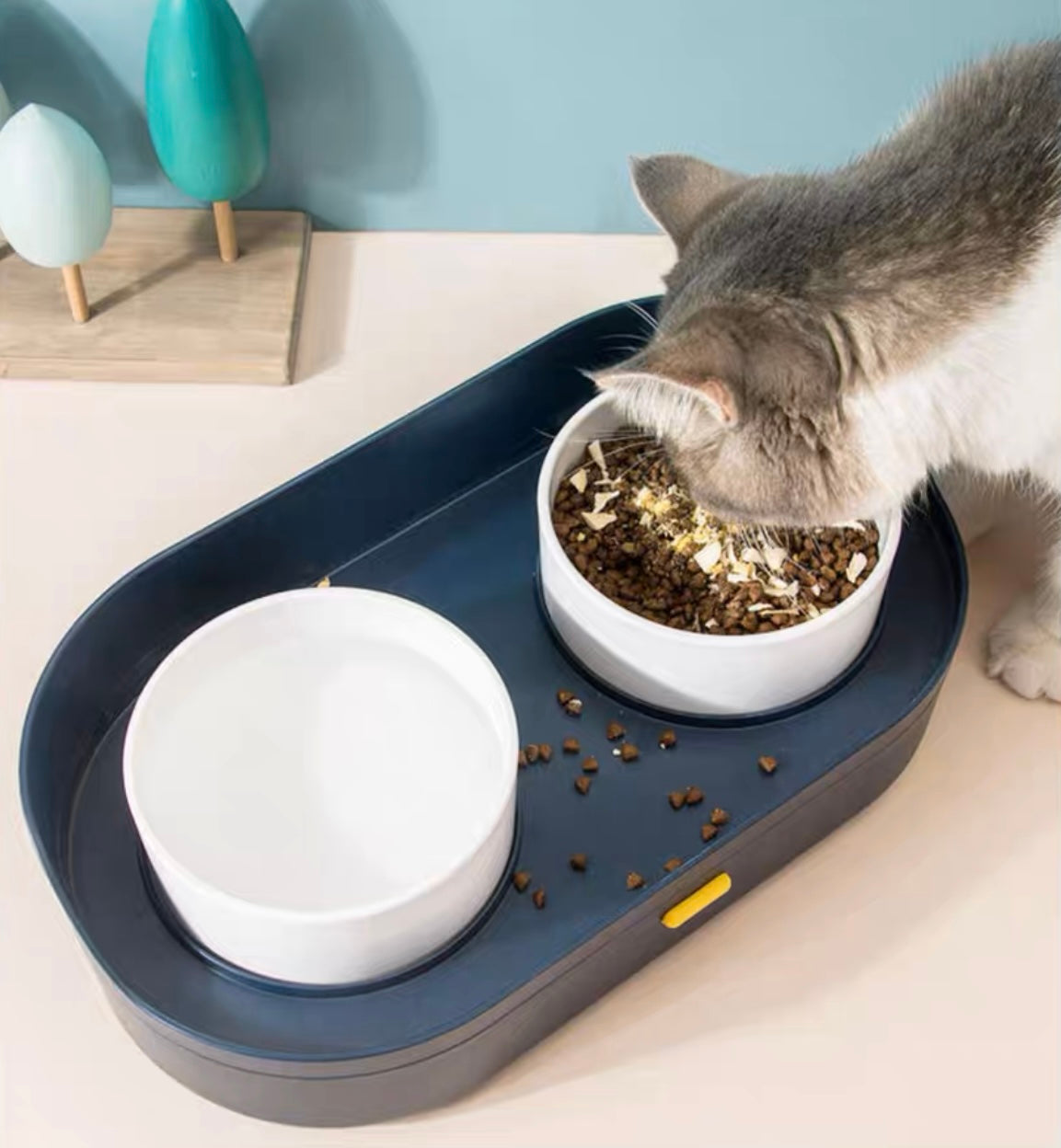 Dual Pet Bowl With Storage Base