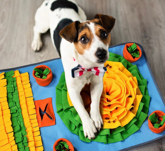 Snuffle Feeding Mat Puzzle Training Toy