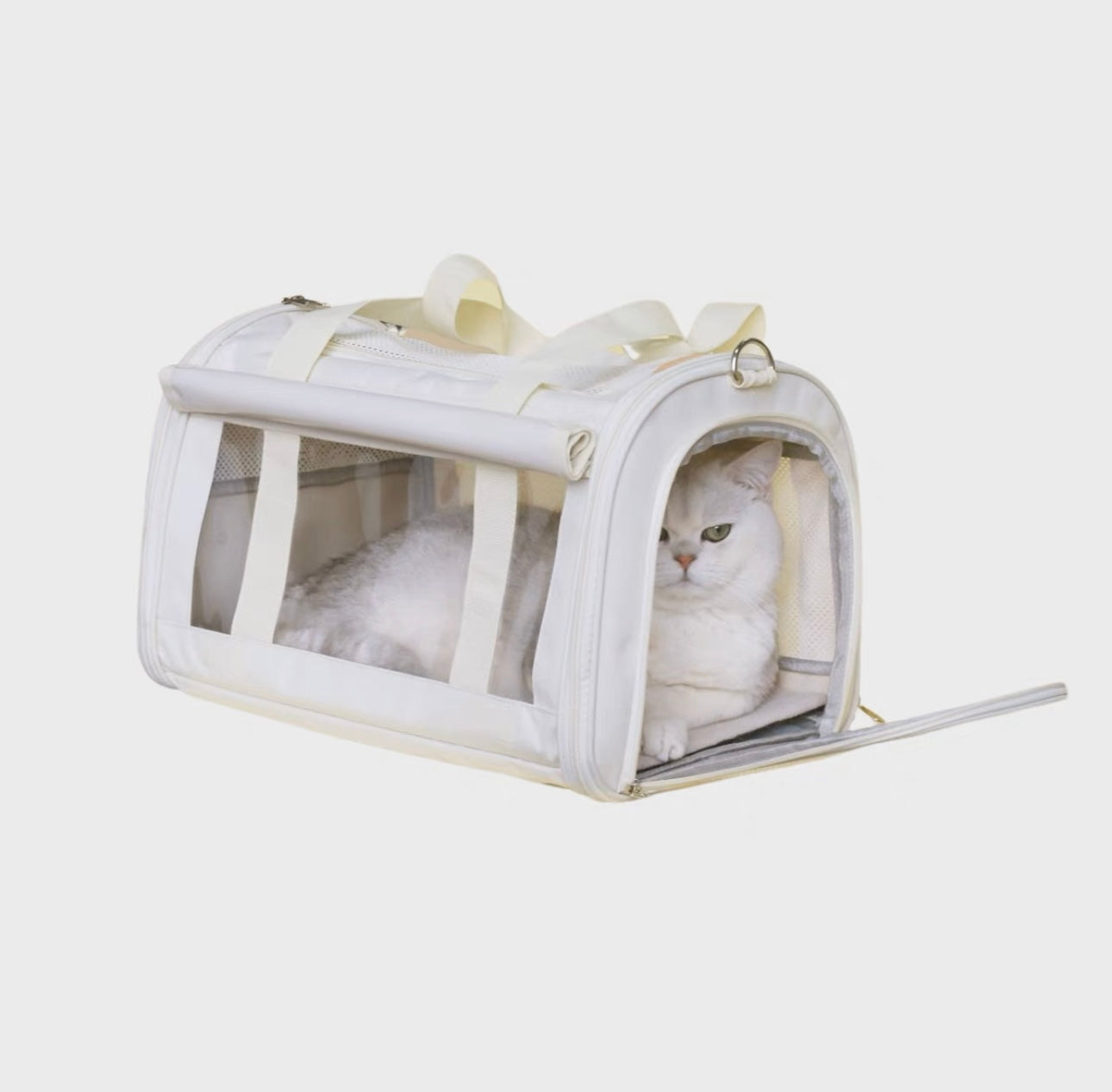 Pet Carrier Travel Bag