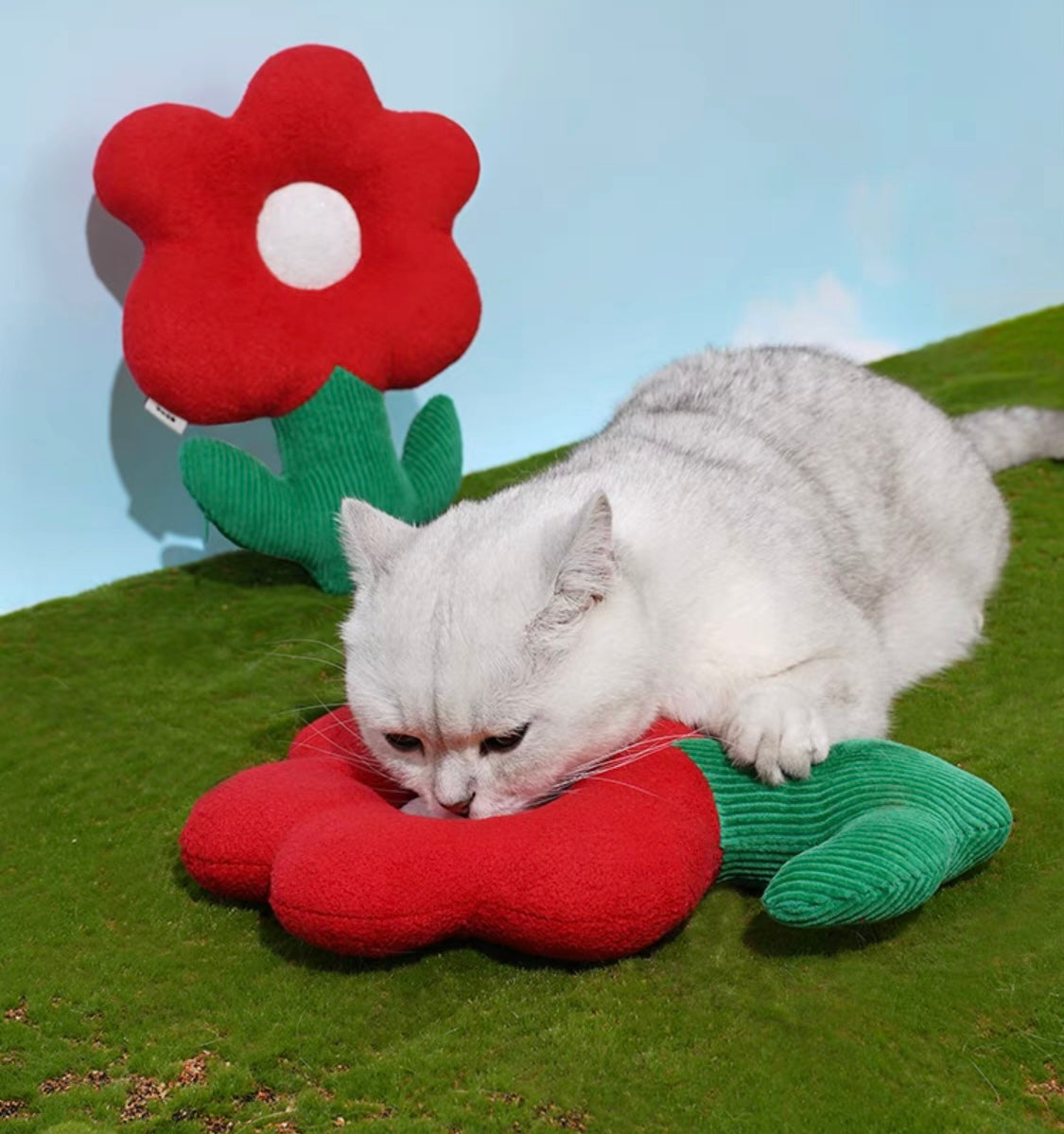 ZeZe Garden Catnip Toy