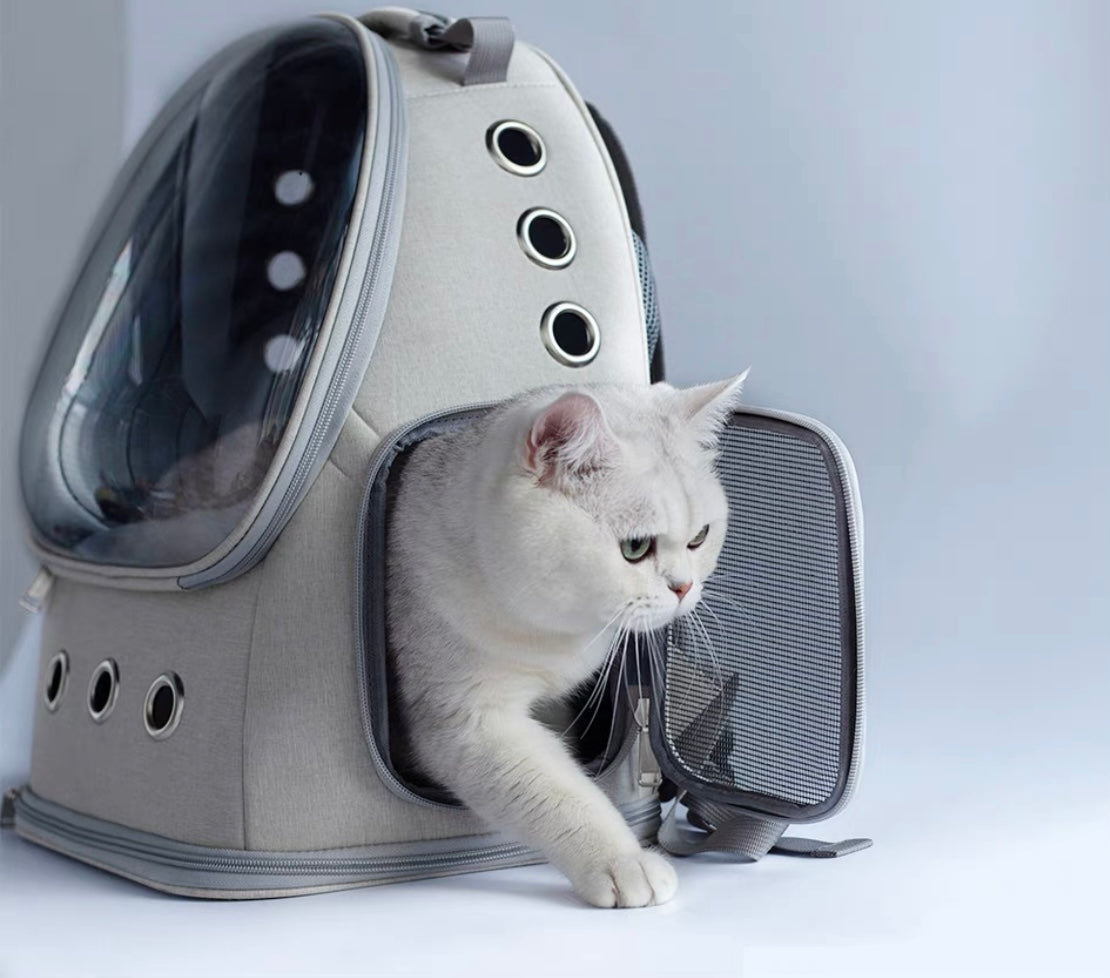 Space Capsule Backpack