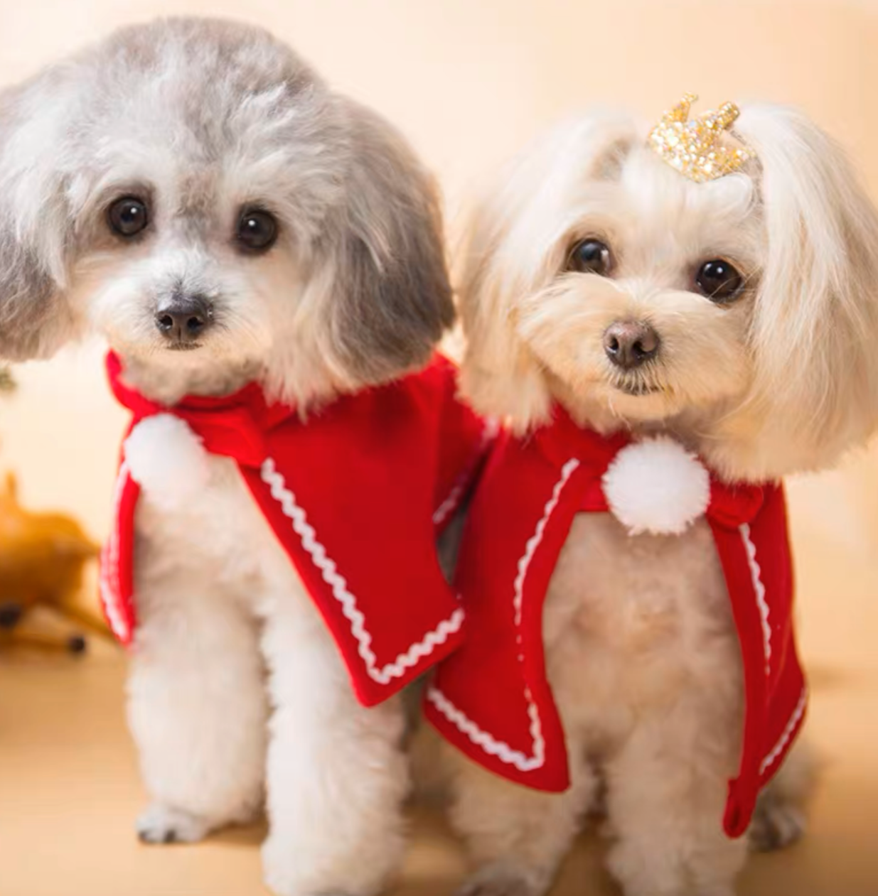 Christmas Santa Red Cape