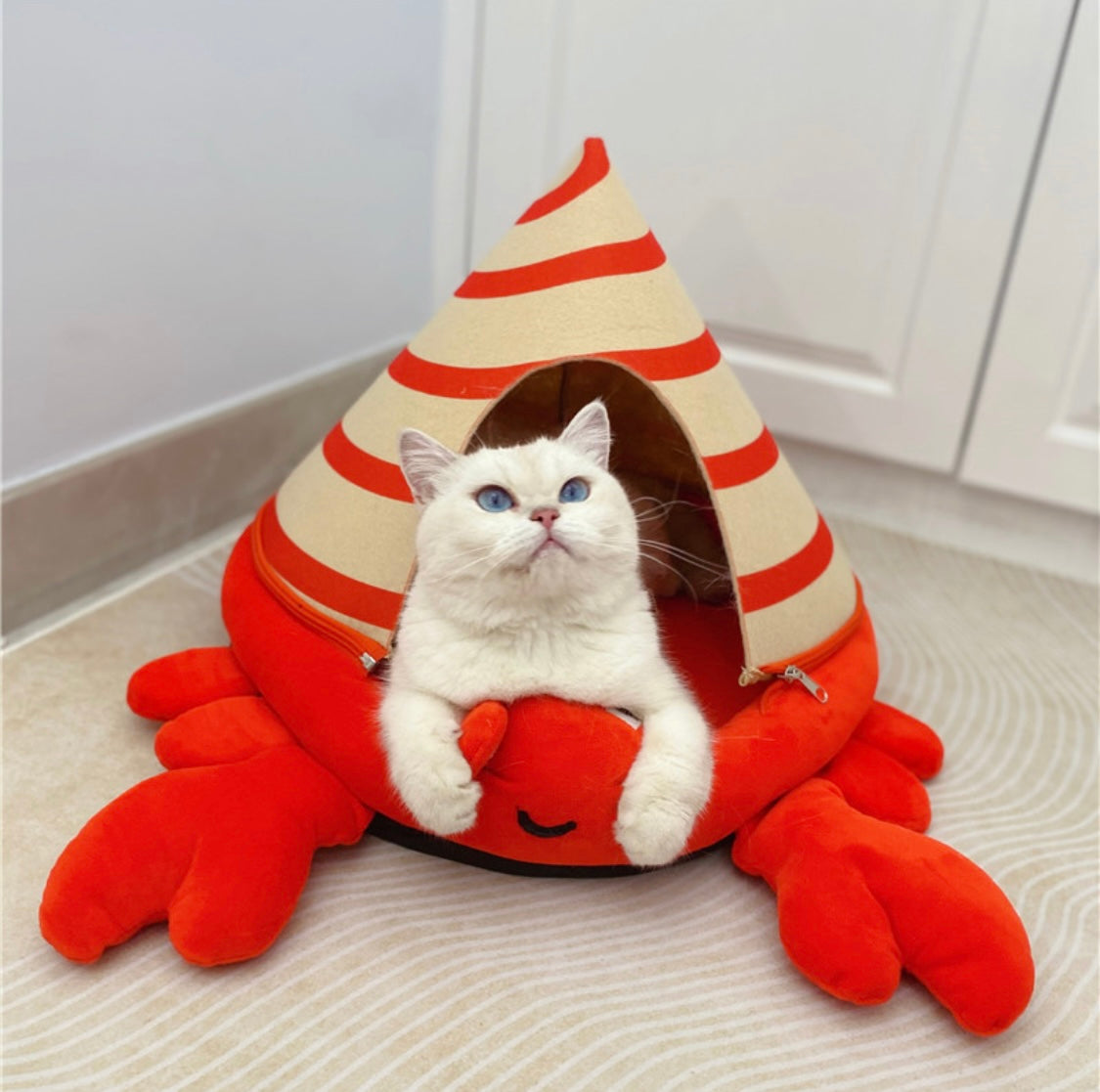 Hermit Crab Pet Bed